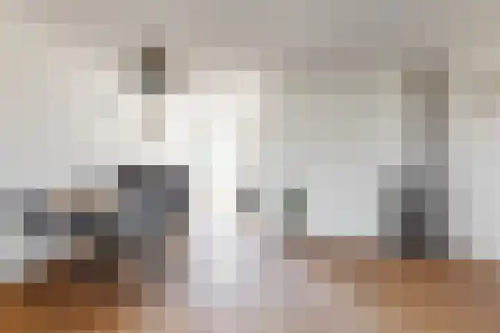 Wipmolen 9 Groot-Ammers thumbnail 8
