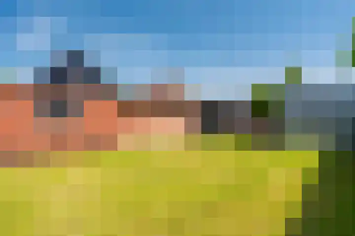 Wirdumerweg 40 Loppersum thumbnail 14