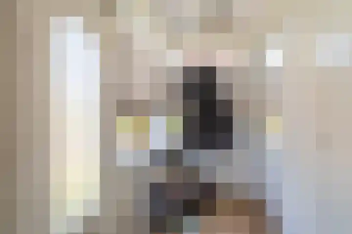 Wirdumerweg 40 Loppersum thumbnail 18