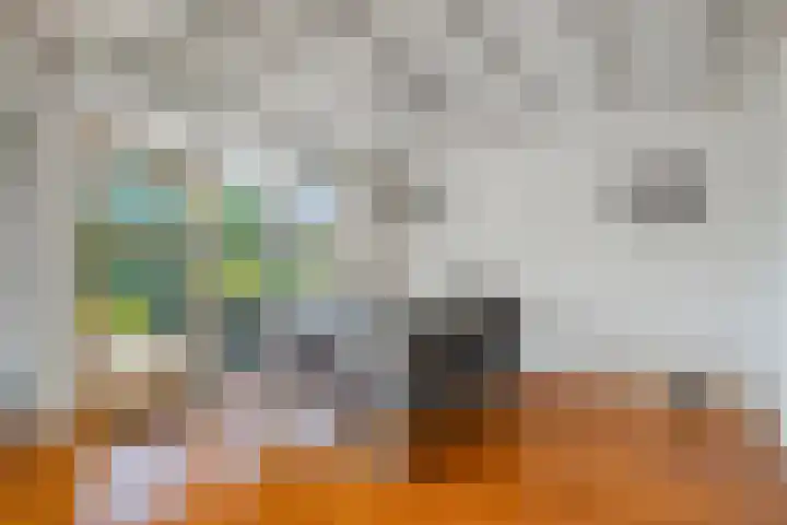 Wirdumerweg 40 Loppersum thumbnail 21