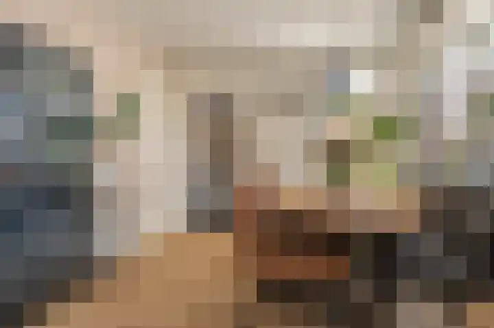 Wirdumerweg 40 Loppersum thumbnail 27