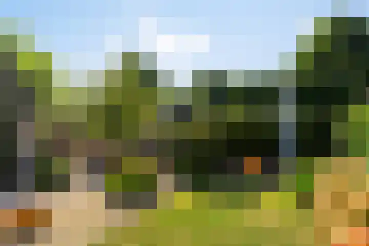 Wirdumerweg 40 Loppersum thumbnail 30