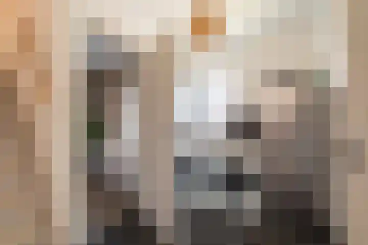 Wirdumerweg 40 Loppersum thumbnail 34