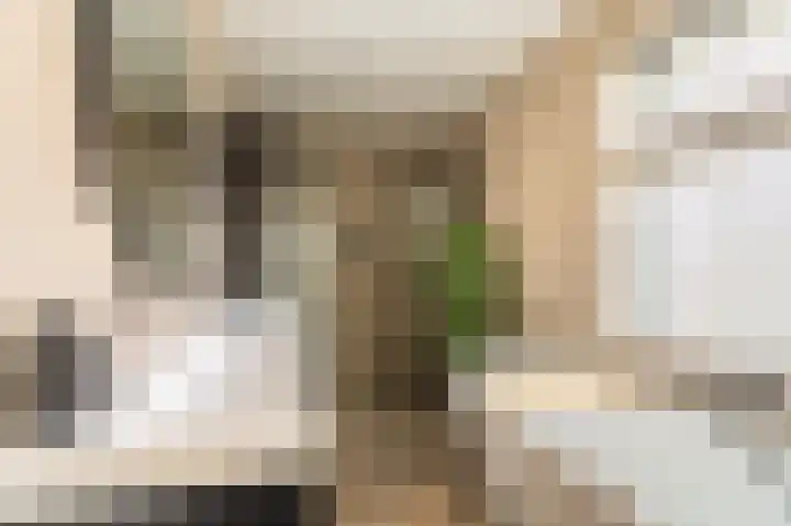 Wirdumerweg 40 Loppersum thumbnail 35