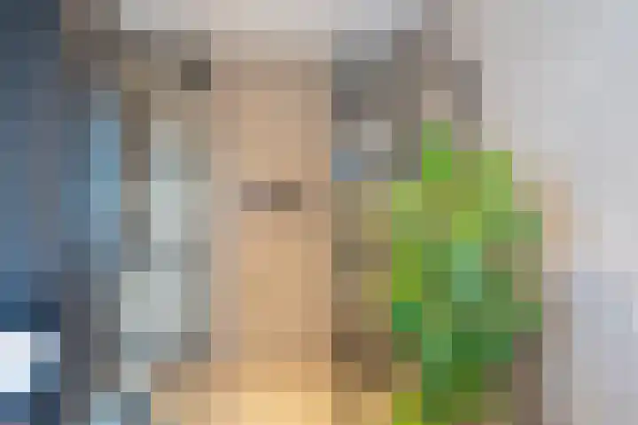 Wirdumerweg 40 Loppersum thumbnail 37