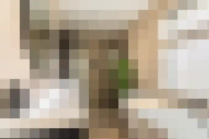 Wirdumerweg 40 Loppersum thumbnail 4