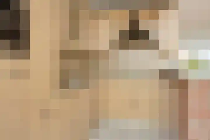 Wirdumerweg 40 Loppersum thumbnail 43