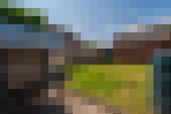 Wirdumerweg 40 Loppersum thumbnail 5