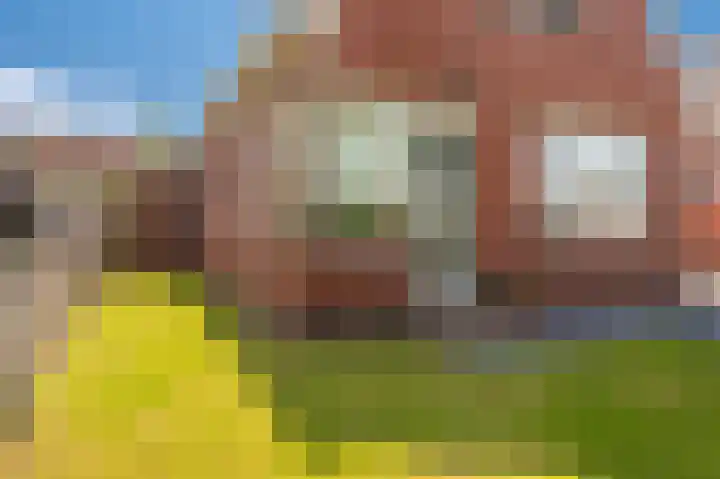 Wirdumerweg 40 Loppersum thumbnail 9