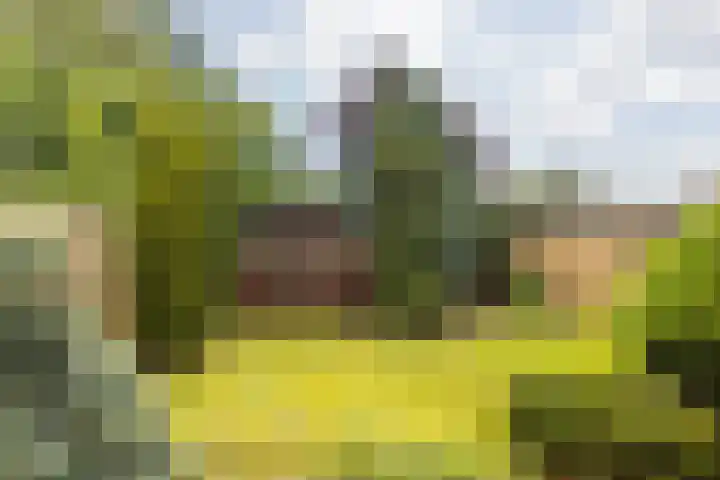 Wirostraat 11 Echt thumbnail 15