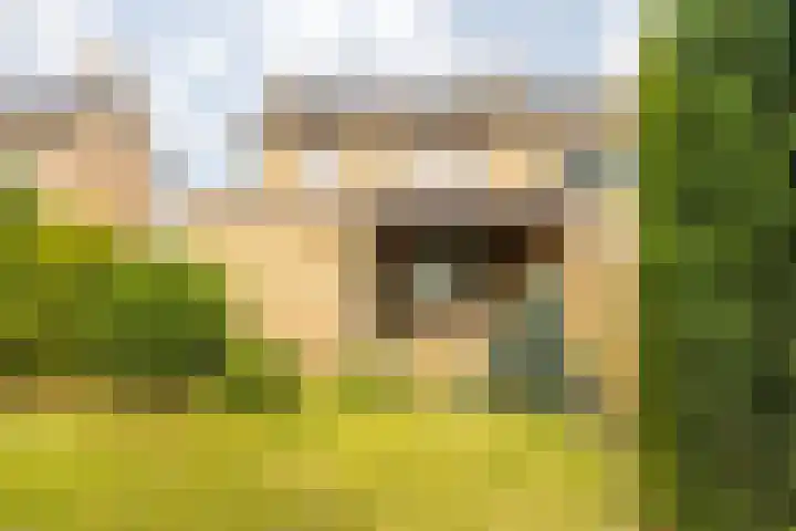 Wirostraat 11 Echt thumbnail 16