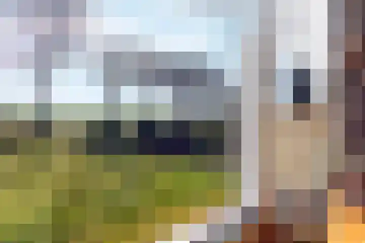 Wisbroek 1 Stramproy thumbnail 13
