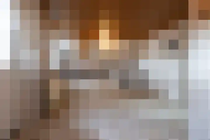 Wisbroek 1 Stramproy thumbnail 18
