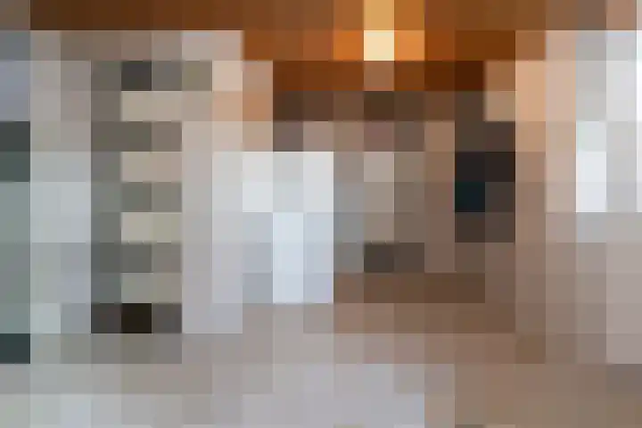 Wisbroek 1 Stramproy thumbnail 19