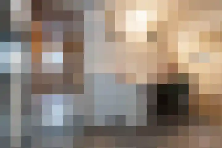 Wisbroek 1 Stramproy thumbnail 20