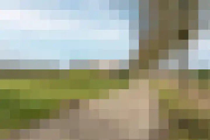 Wisbroek 1 Stramproy foto 3