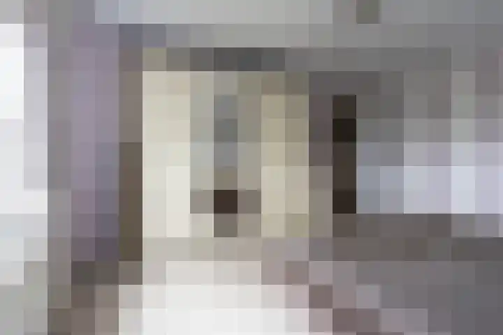 Wisbroek 1 Stramproy thumbnail 35