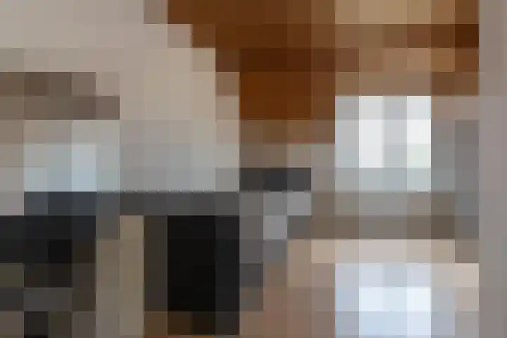 Wisbroek 1 Stramproy thumbnail 38
