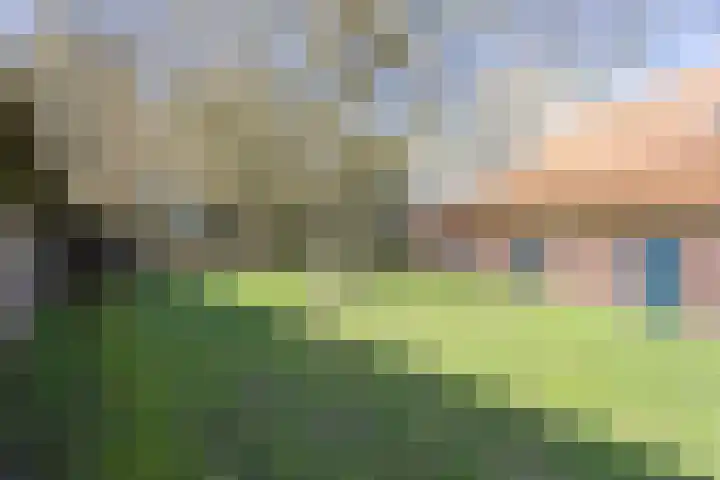Wisbroek 1 Stramproy thumbnail 43