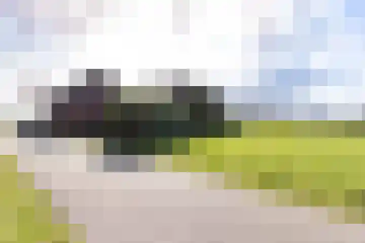 Wisbroek 1 Stramproy thumbnail 45