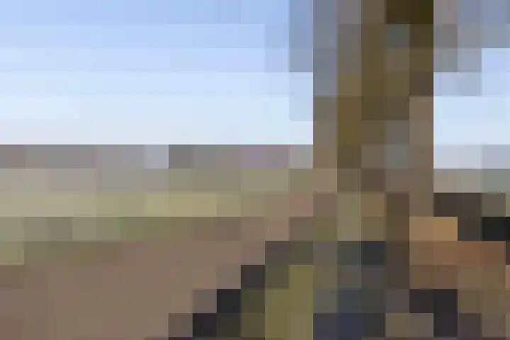 Wisbroek 1 Stramproy thumbnail 48