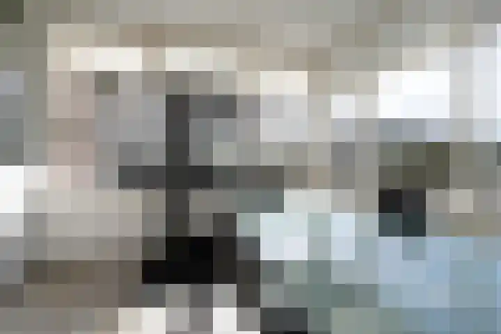 Wisbroek 1 Stramproy thumbnail 8