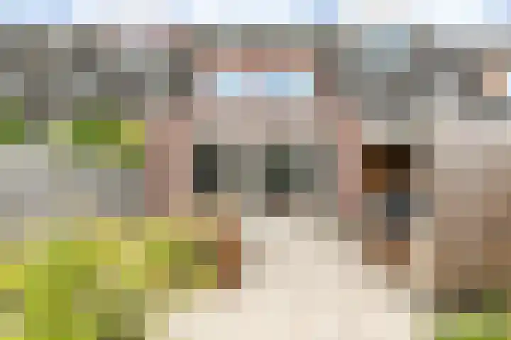 Wisentstraat 3 Breda thumbnail 37