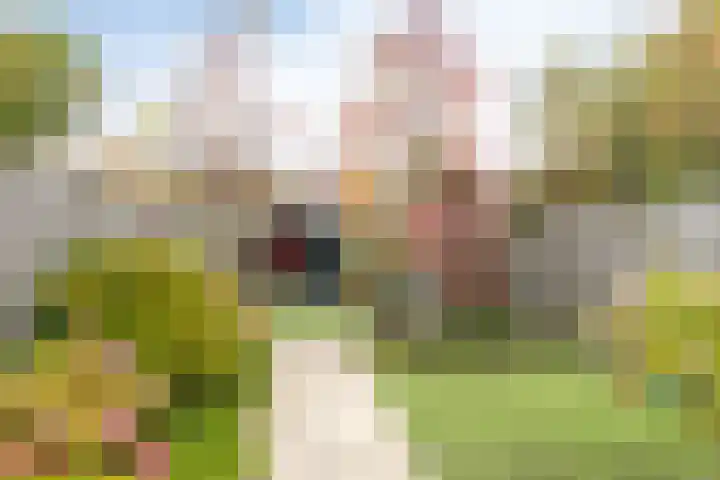 Wisentstraat 3 Breda thumbnail 41