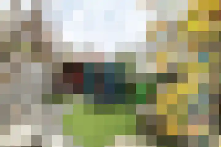 Wisentstraat 3 Breda thumbnail 42