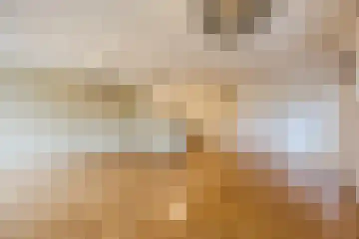 Wislaan 1 A Uden thumbnail 10