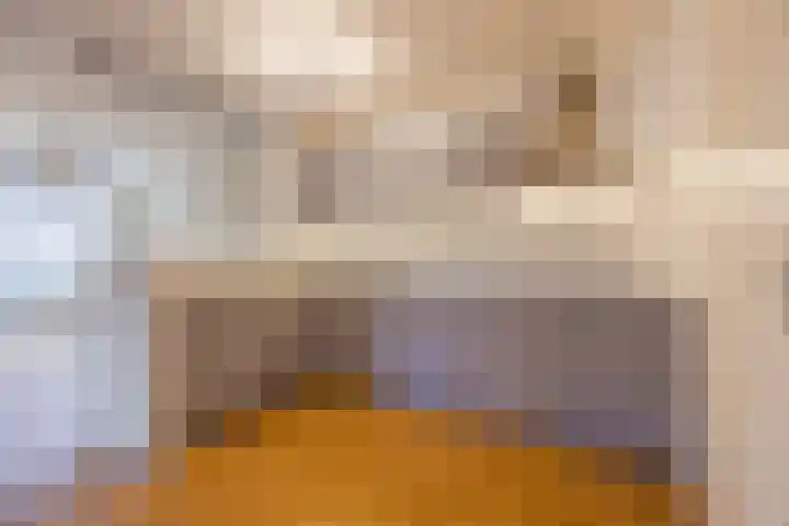 Wislaan 1 A Uden thumbnail 16