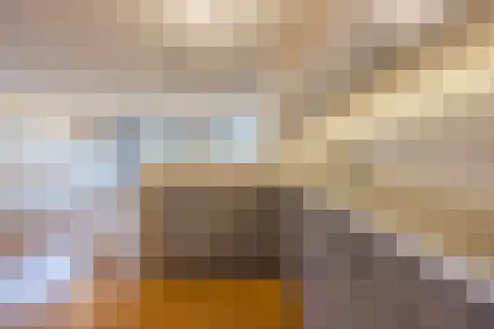 Wislaan 1 A Uden thumbnail 17