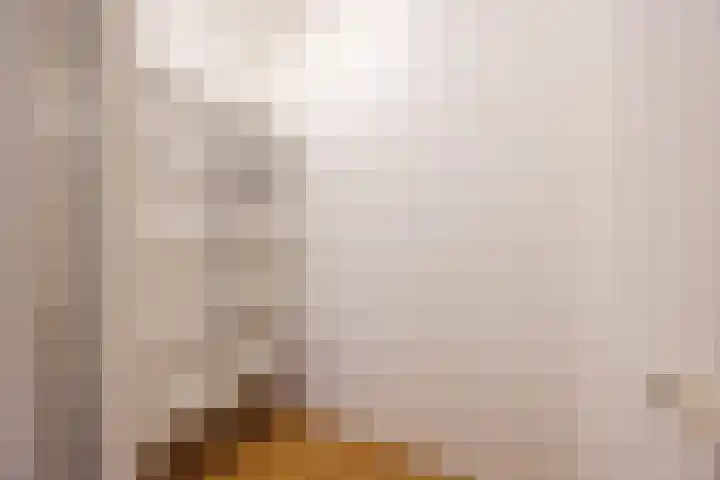 Wislaan 1 A Uden thumbnail 22
