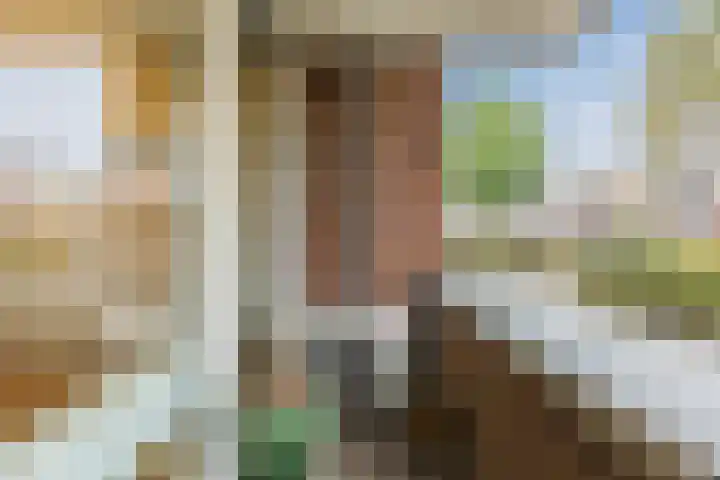 Wislaan 1 A Uden thumbnail 25