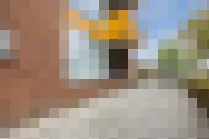 Wislaan 1 A Uden thumbnail 30