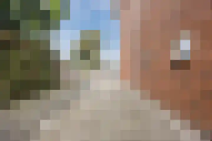Wislaan 1 A Uden thumbnail 34