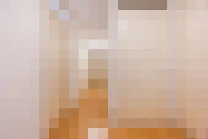 Wislaan 1 A Uden thumbnail 7