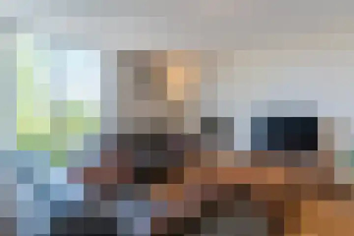 Wislaan 271 Uden thumbnail 10