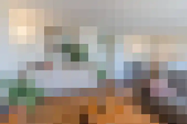 Wislaan 271 Uden thumbnail 11