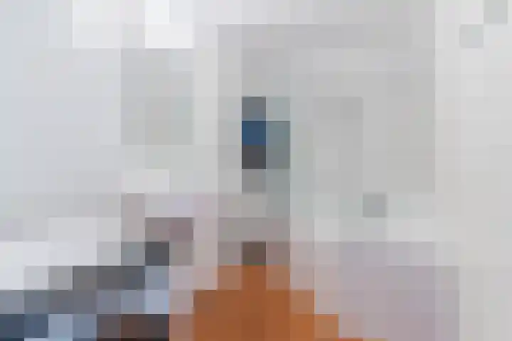 Wislaan 271 Uden thumbnail 19
