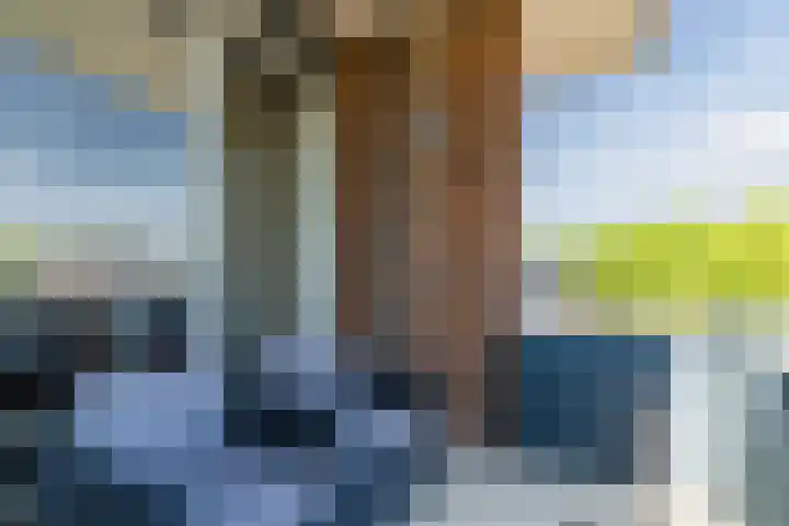 Wislaan 271 Uden thumbnail 22