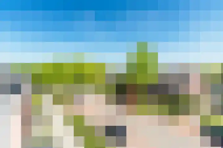 Wislaan 271 Uden thumbnail 23