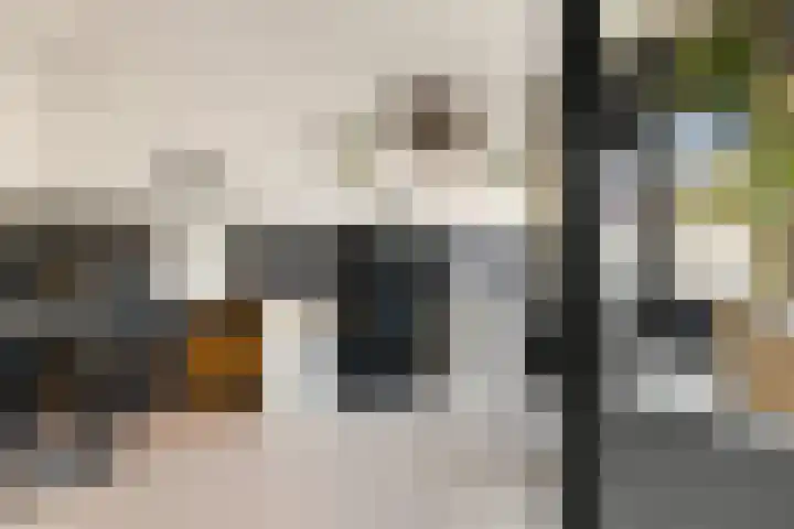 Wislaan 271 Uden thumbnail 26