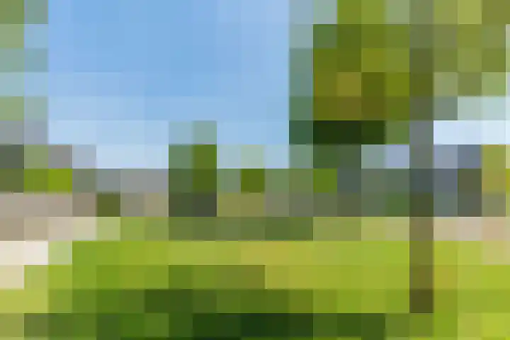 Wislaan 271 Uden thumbnail 28