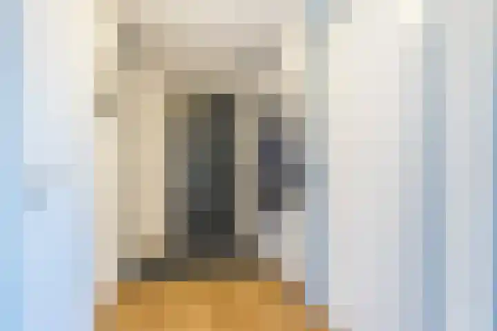 Wislaan 271 Uden thumbnail 6