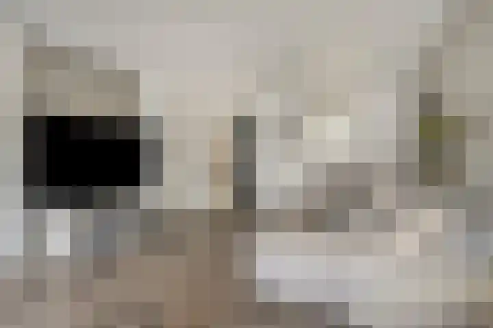 Wislaan 49 Uden thumbnail 10