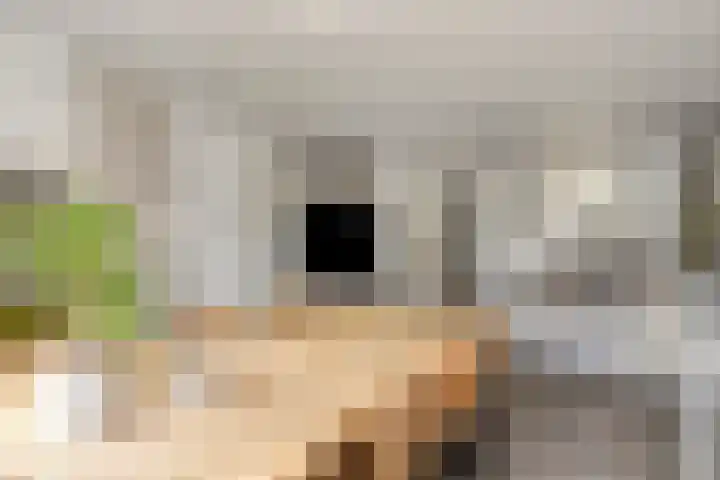 Wislaan 49 Uden thumbnail 12