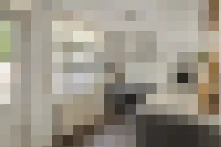 Wislaan 49 Uden thumbnail 14