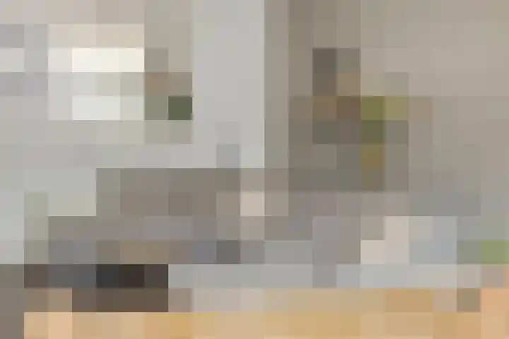 Wislaan 49 Uden thumbnail 18