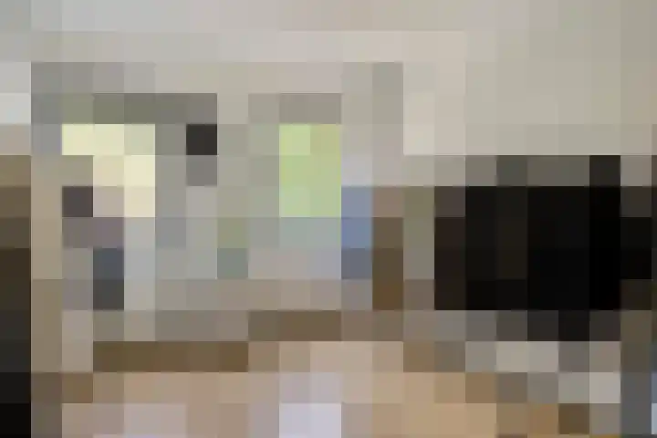 Wislaan 49 Uden thumbnail 25